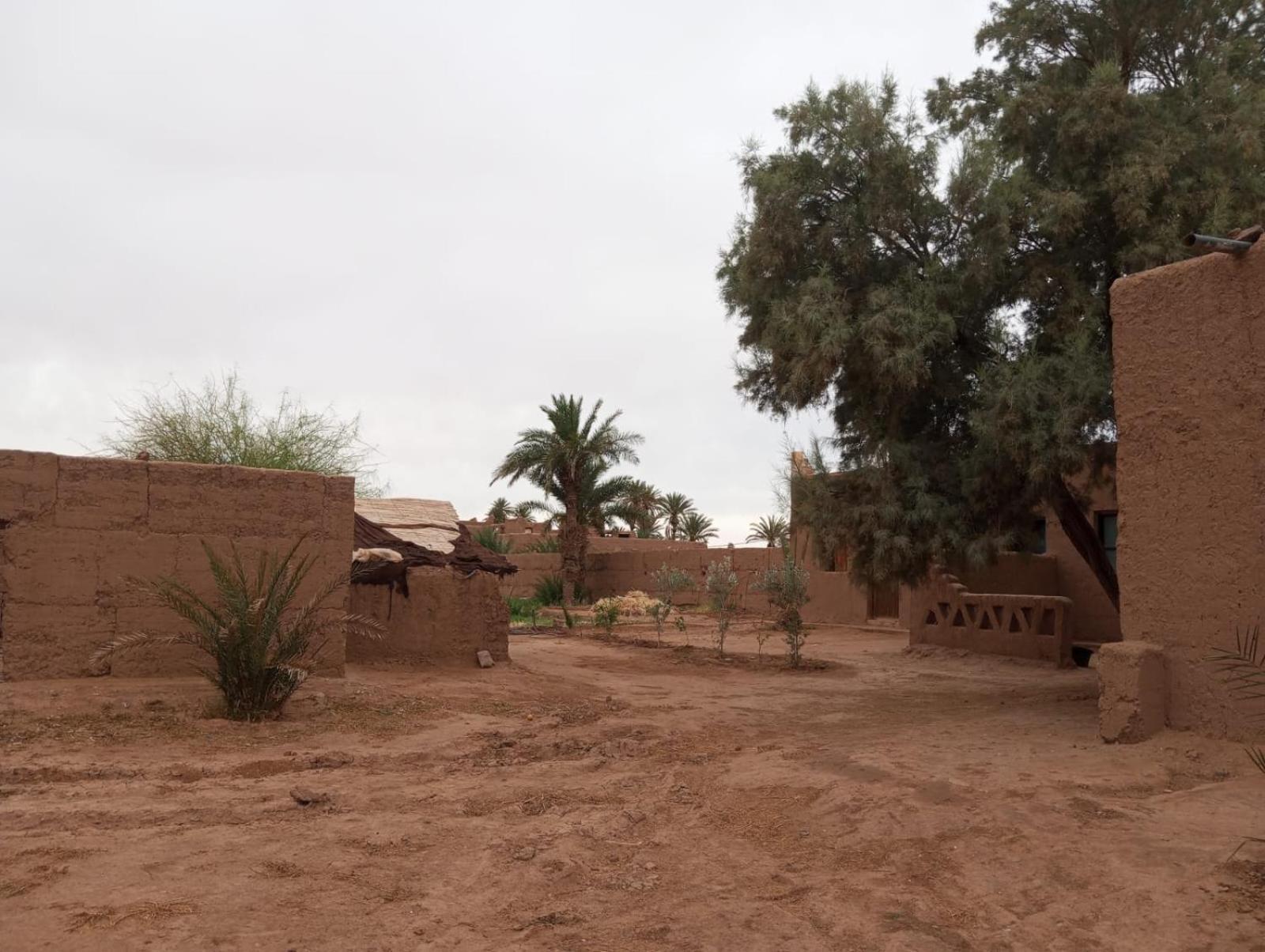 La Maison-Berbere Mhamid M'Hamid Exterior foto