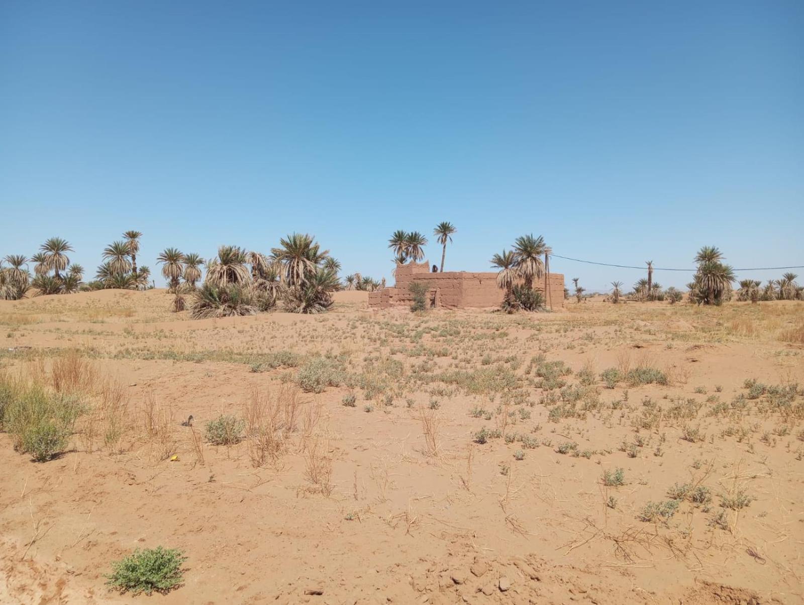 La Maison-Berbere Mhamid M'Hamid Exterior foto