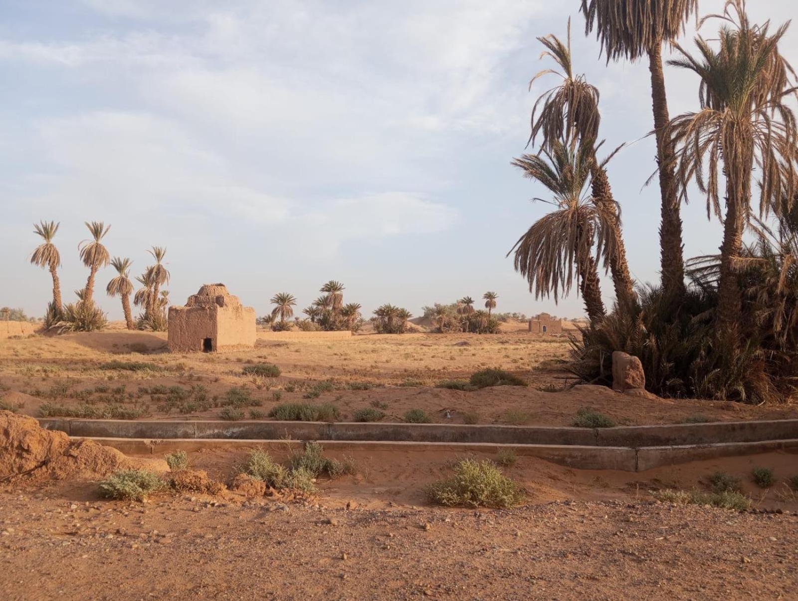La Maison-Berbere Mhamid M'Hamid Exterior foto